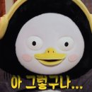 타이어 매치 이미지