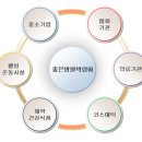 화평국제여행사