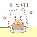 강아지맛집 이미지