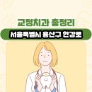 서울특별시 용산구 한강로 교정치과 총정리