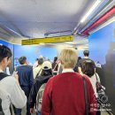 (주)이인농업회사법인 | [서울시 강남구 삼성동] 코엑스 대한민국맥주박람회 &amp; 드링크서울 2026 후기