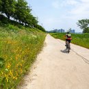 포항철길숲 이미지