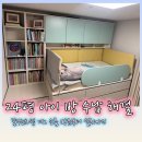 24평 아이 방 수납 끝! 꿈꾸는요셉 디노침대 쇼룸 방문부터 설치 후기, 할인까지 (내돈내산)