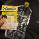 캔디노래연습장 이미지