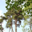 구암동550 이미지