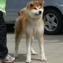 텐포 이미지