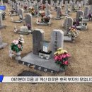 홍김동전 비밀요원 레이스 - 호국 부자의 묘 이미지