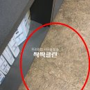 사무실청소싹싹클린프리미엄 이미지