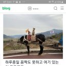 하동군청 이미지