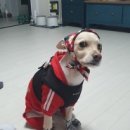 루이안경 이미지