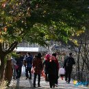 인제 관광안내소 이미지