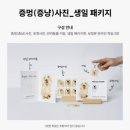 부산 증멍사진 위글하우스 후기｜반려견 인생사진 남기기