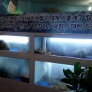 쭈니sea