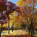 제일주유소 공중화장실 이미지