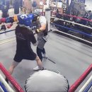 불스복싱 이미지