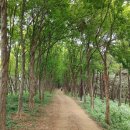 시흥-정왕-시흥-031 이미지