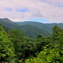 휴양림길 이미지