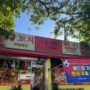 사천양꼬치 | [부산] 동대신동 맛집 훠궈, 양꼬치 무한리필 사천훠궈양꼬치 동대신점 솔직후기 🐑🐏