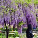 상봉(1)주공아파트 이미지