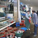 대천항수산시장 이미지