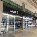 바른갈치 | 제주도 갈치조림 맛집 공항 근처 바른갈치 후기