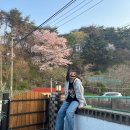 효리 경로당 | 4월 국내여행지 추천 / 단체티 입고 떠난 동해 우정여행 1박2일 코스