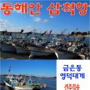 [금은동 영덕대게] 도루묵, 문어, 백고동(골뱅이) 국내산 삼척항 선주직송 이미지