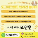 용인 중대형견 가능 강아지유치원 도그파크랜드 후기