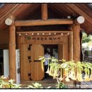 너구리의 피난처 이미지