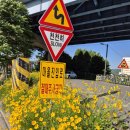 천리고가교 밑 이미지