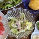 칠암거북 이미지