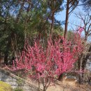 일품해물칼국수 이미지