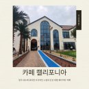 캘리포니아 | [청주 대형 카페] 카페 캘리포니아 방문 후기