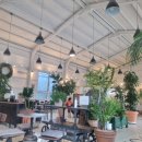 파티오6747 이미지