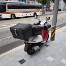 욜로모터스