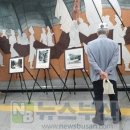 6.25참전유공자회 부산광역시 수영구지회 이미지