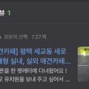 애견카페 애견유치원 펫레터 이미지