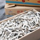 우진수산 이미지