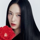 정수정헤어
