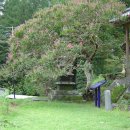 선국사 대웅전 이미지