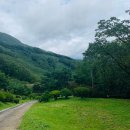 횡성 온새미로 캠핑장 이미지