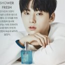 가야클린 이미지