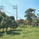 애향동산 이미지