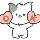 팝업토스 이미지