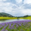 지산골프연습장 네이버블로그