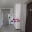 양우퍼스트힐공인중개사사무소 | 서산양우내아파트매매34평,전망최고,줄눈,중문,탄성코트시공