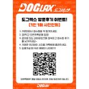 도그렉스 네이버블로그