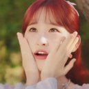 Sugar(슈가) 이미지