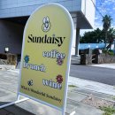 데이지브런치 이미지