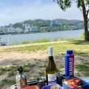 [주말나들이 / 주말데이트] 광나루 한강공원 피크닉 명당 &amp; 장미정원 근황, 홈메이드 도시락 후기